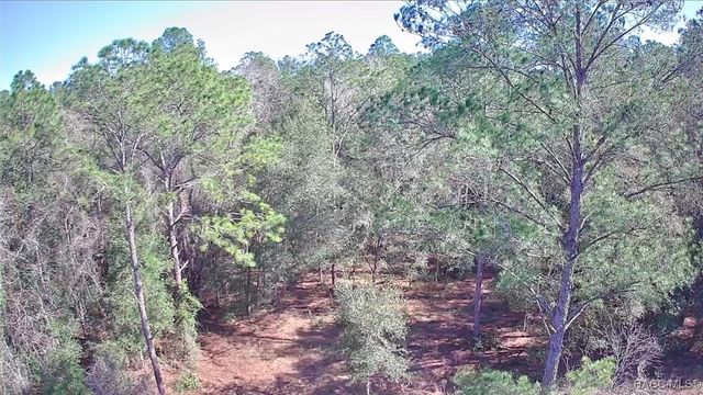 9155 N Alameda Drive, Citrus Springs, FL 34434