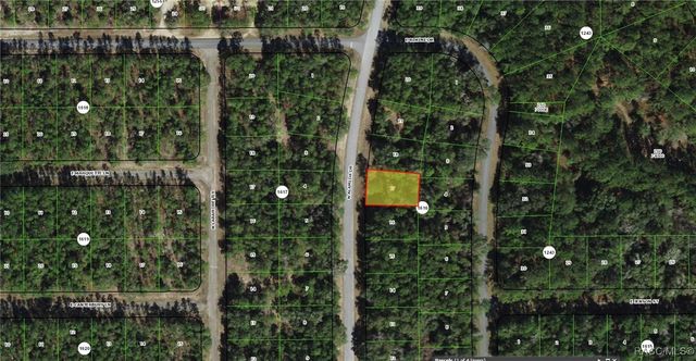 9155 N Alameda Drive, Citrus Springs, FL 34434