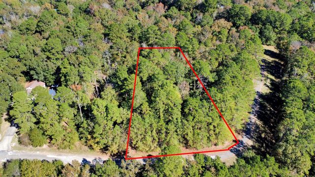 TBD Deer Ridge Lot 73 Drive, Livingston, TX 77351