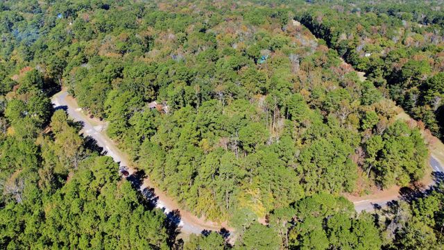 TBD Deer Ridge Lot 73 Drive, Livingston, TX 77351