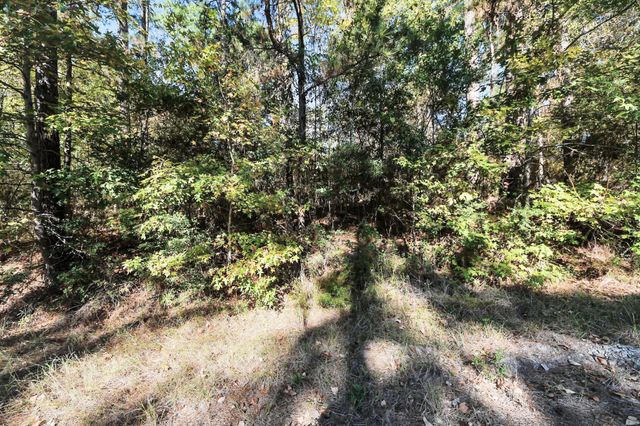 TBD Deer Ridge Lot 73 Drive, Livingston, TX 77351
