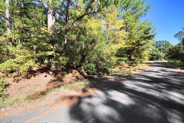 TBD Deer Ridge Lot 73 Drive, Livingston, TX 77351