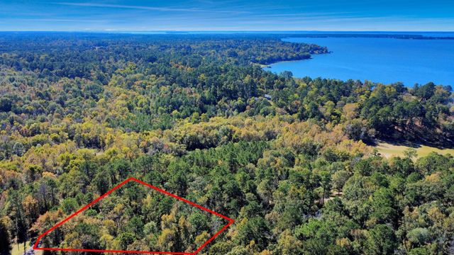 TBD Deer Ridge Lot 73 Drive, Livingston, TX 77351