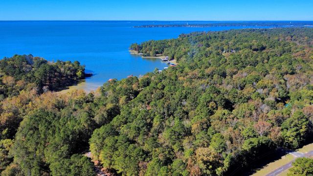 TBD Deer Ridge Lot 73 Drive, Livingston, TX 77351