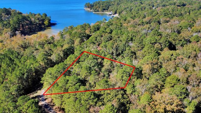 TBD Deer Ridge Lot 73 Drive, Livingston, TX 77351