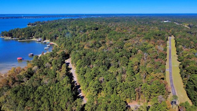 TBD Deer Ridge Lot 73 Drive, Livingston, TX 77351