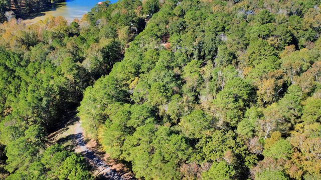 TBD Deer Ridge Lot 73 Drive, Livingston, TX 77351