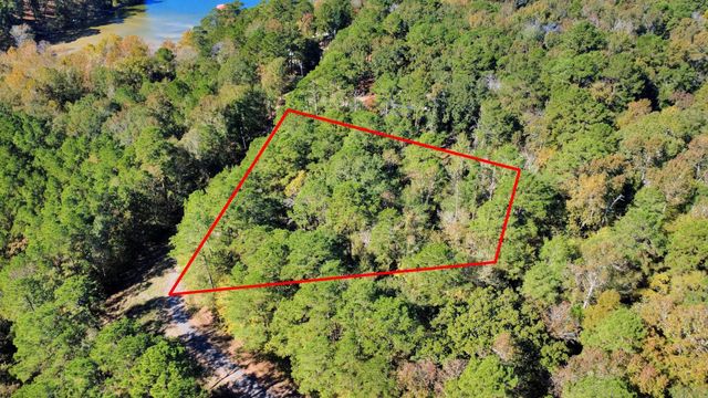 TBD Deer Ridge Lot 73 Drive, Livingston, TX 77351