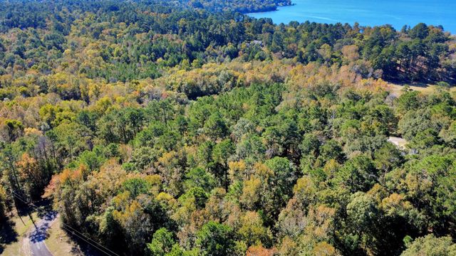 TBD Deer Ridge Lot 73 Drive, Livingston, TX 77351