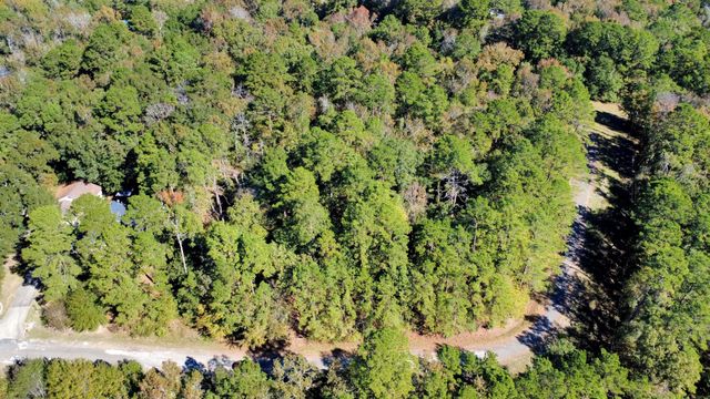 TBD Deer Ridge Lot 73 Drive, Livingston, TX 77351