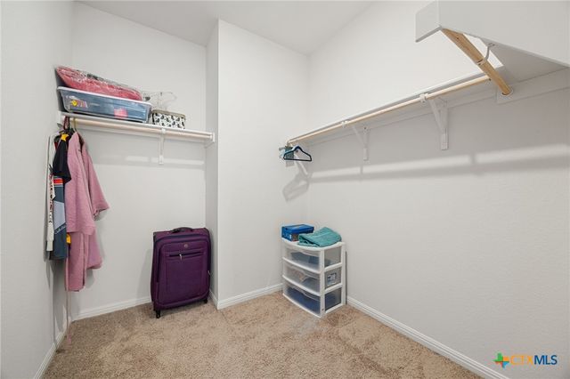 19415 Caymus Drive, Pflugerville, TX 78660