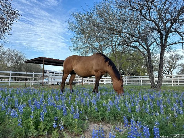 224 County Road 789, Natalia, TX 78059