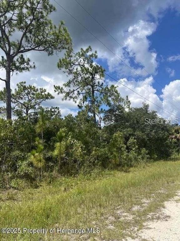 10194 YELLOW FROG AVENUE, Weeki Wachee, FL 34614