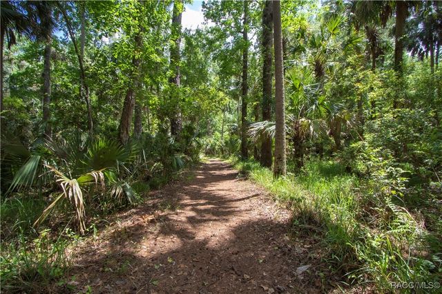 5860 SE 183rd Terrace, Ocklawaha, FL 32179