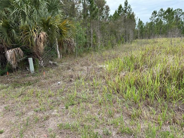1009 JACKSON AVENUE, Lehigh Acres, FL 33972