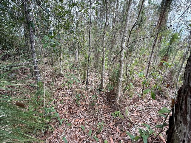 1009 JACKSON AVENUE, Lehigh Acres, FL 33972