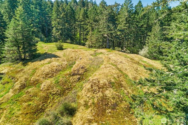 0 Woodpecker Ln, Friday Harbor, WA 98250