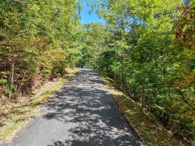 Lot 35 Overlook At Y. H., Young Harris, GA 30582