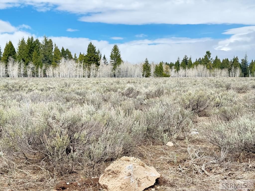 Image 1 of property listing at 4055 Ryan, Island Park, ID 83429