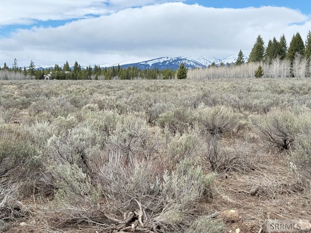 Image 5 of property listing at 4055 Ryan, Island Park, ID 83429