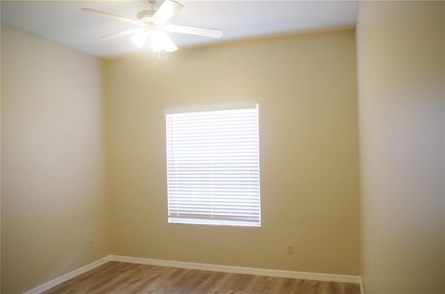 4207 ELBA PLACE, Valrico, FL 33596