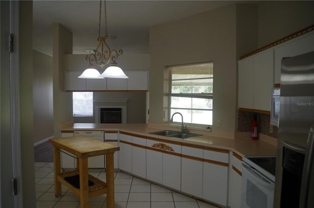 4207 ELBA PLACE, Valrico, FL 33596