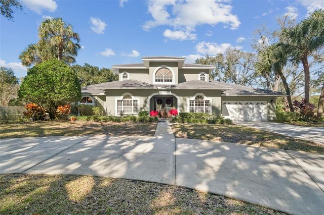 11003 NEST COURT, Odessa, FL 33556