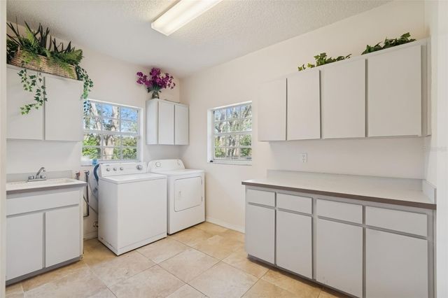 11003 NEST COURT, Odessa, FL 33556