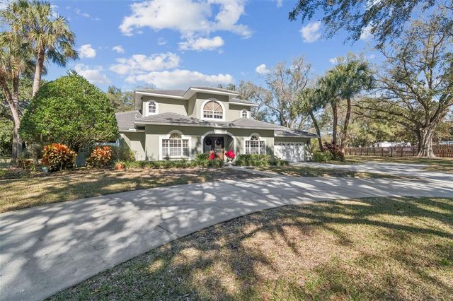 11003 NEST COURT, Odessa, FL 33556