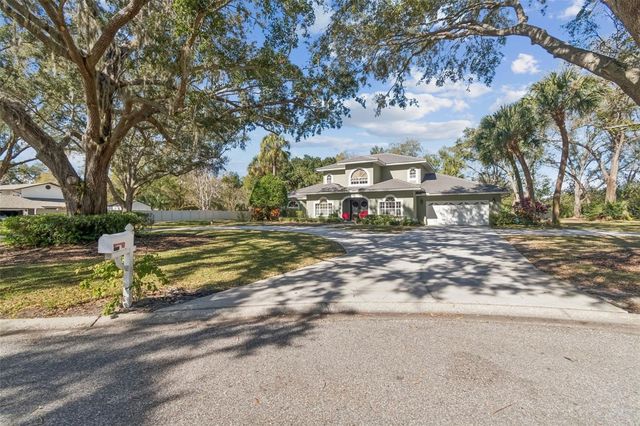 11003 NEST COURT, Odessa, FL 33556