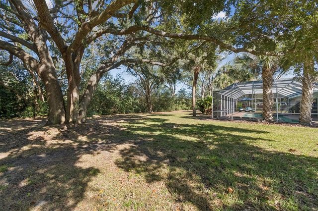 11003 NEST COURT, Odessa, FL 33556