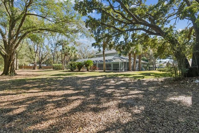 11003 NEST COURT, Odessa, FL 33556