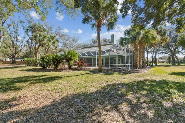 11003 NEST COURT, Odessa, FL 33556