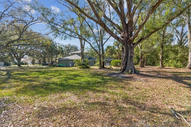 11003 NEST COURT, Odessa, FL 33556