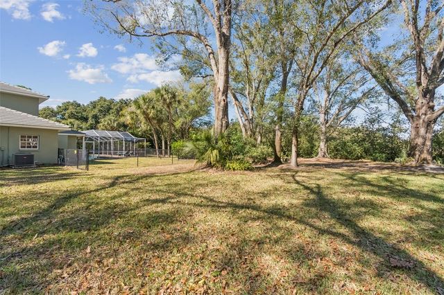 11003 NEST COURT, Odessa, FL 33556