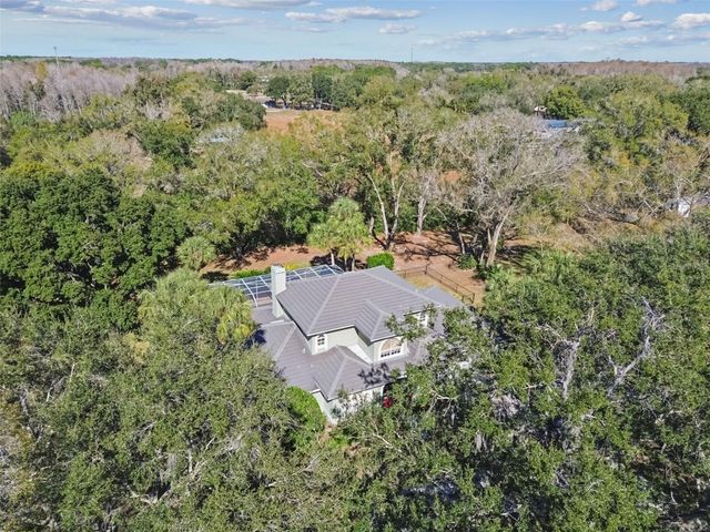 11003 NEST COURT, Odessa, FL 33556