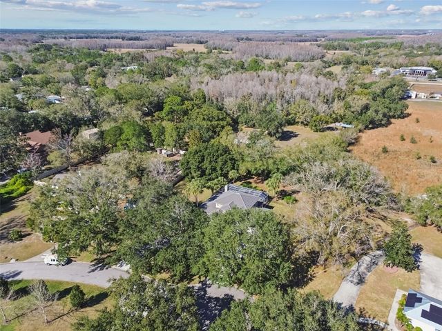 11003 NEST COURT, Odessa, FL 33556