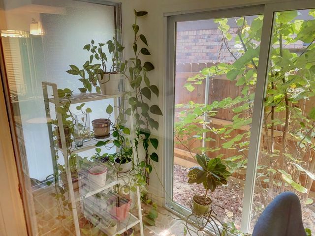 150 Macarthur Court, Irving, TX 75061