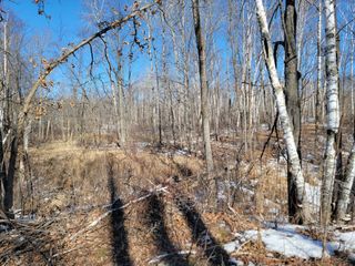XXXX Meadow Lake Road SW, Meadowbrook Twp, MN 56466