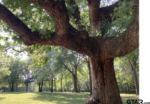 1773 CR 2540, Mineola, TX 75773