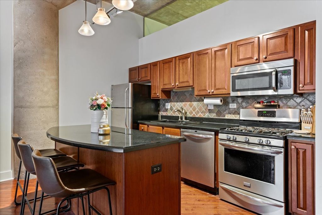 360 W Illinois Street 4E, Chicago, IL 60654 — photo 5