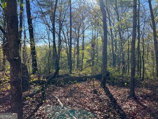 533 Pearwood Road, Royston, GA 30662