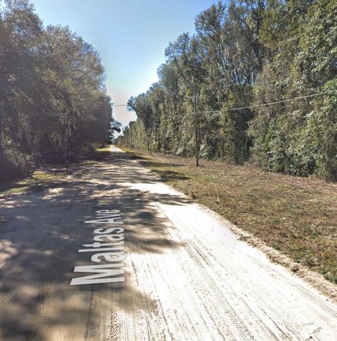 00 Maltas Ave LOT 35, Interlachen, FL 32148