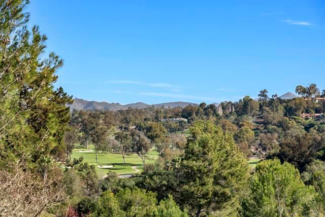 4724 El Aspecto, Rancho Santa Fe, CA 92067