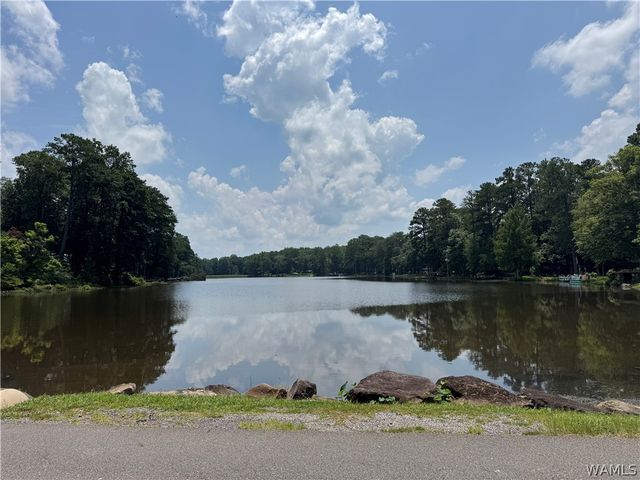 14294 Lake Wildwood, Cottondale, AL 35453