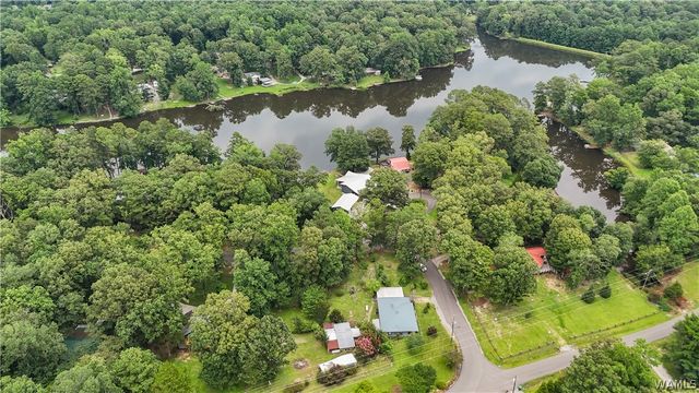 14294 Lake Wildwood, Cottondale, AL 35453