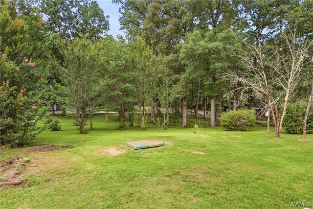 14294 Lake Wildwood, Cottondale, AL 35453
