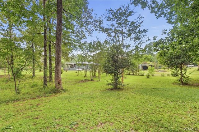 14294 Lake Wildwood, Cottondale, AL 35453