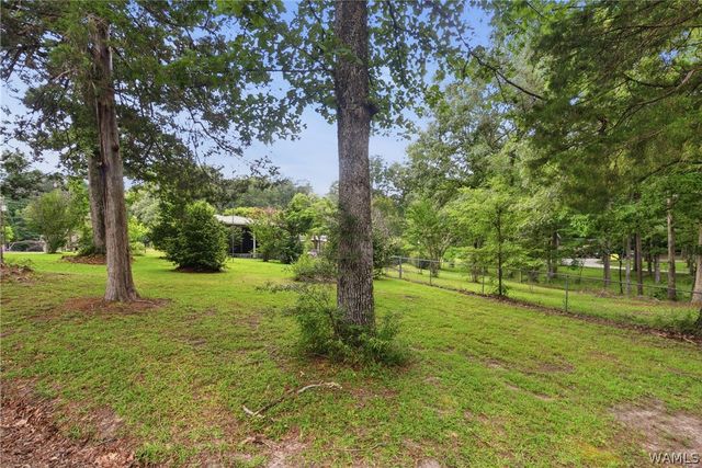 14294 Lake Wildwood, Cottondale, AL 35453