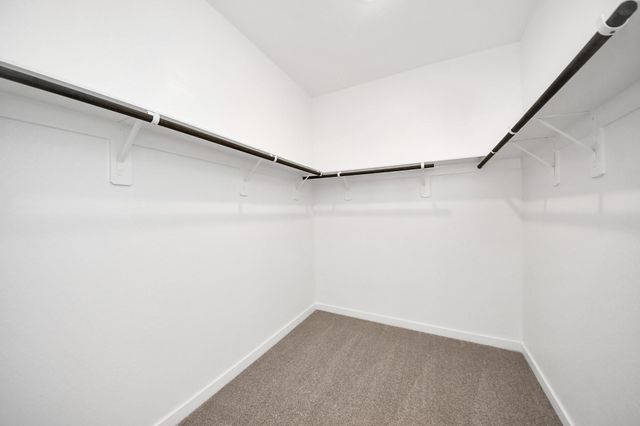 6808 Hart Oak Court, Conroe, TX 77304